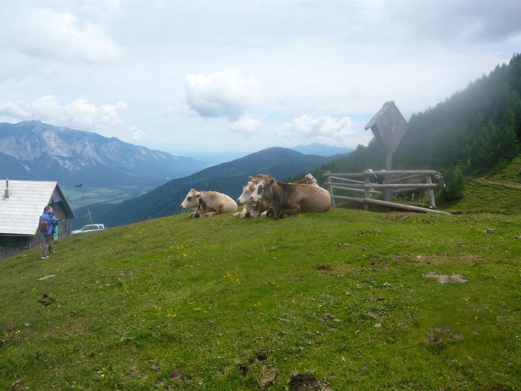 Landhaus Mitsche Hermagor-Pressegger See Esterno foto